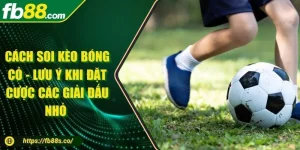 Cách Soi Kèo Bóng Cỏ - Lưu Ý Khi Đặt Cược Các Giải Đấu Nhỏ