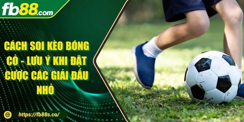 Cách Soi Kèo Bóng Cỏ - Lưu Ý Khi Đặt Cược Các Giải Đấu Nhỏ
