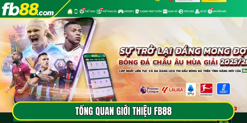 Tổng quan giới thiệu FB88