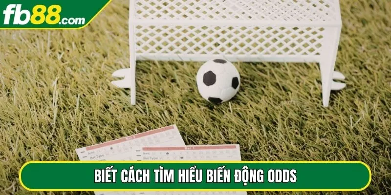 Biết cách tìm hiểu biến động odds