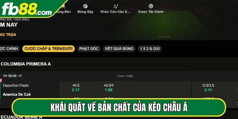 Khái quát về bản chất của kèo châu Á