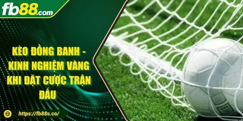 Kèo Đồng Banh - Kinh Nghiệm Vàng Khi Đặt Cược Trận Đấu