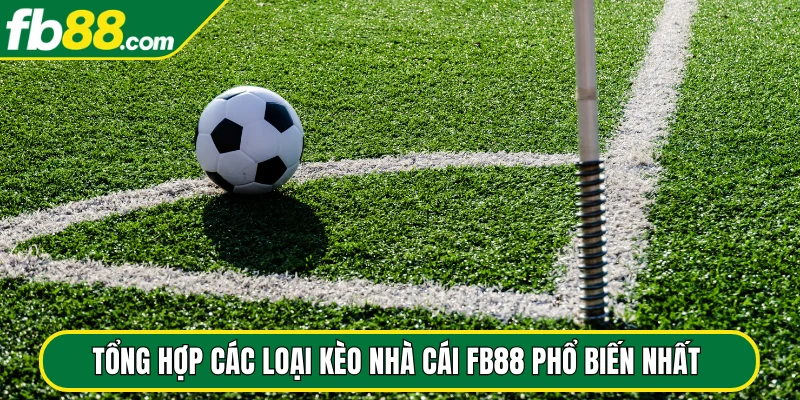 Tổng hợp các loại kèo nhà cái FB88 phổ biến nhất tại đây