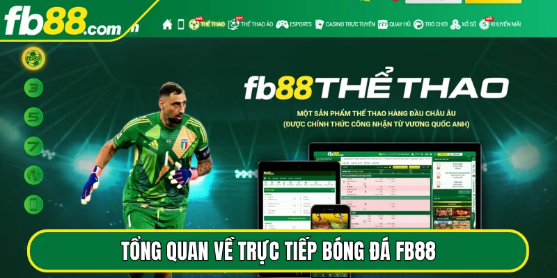 Tổng quan về trực tiếp bóng đá FB88